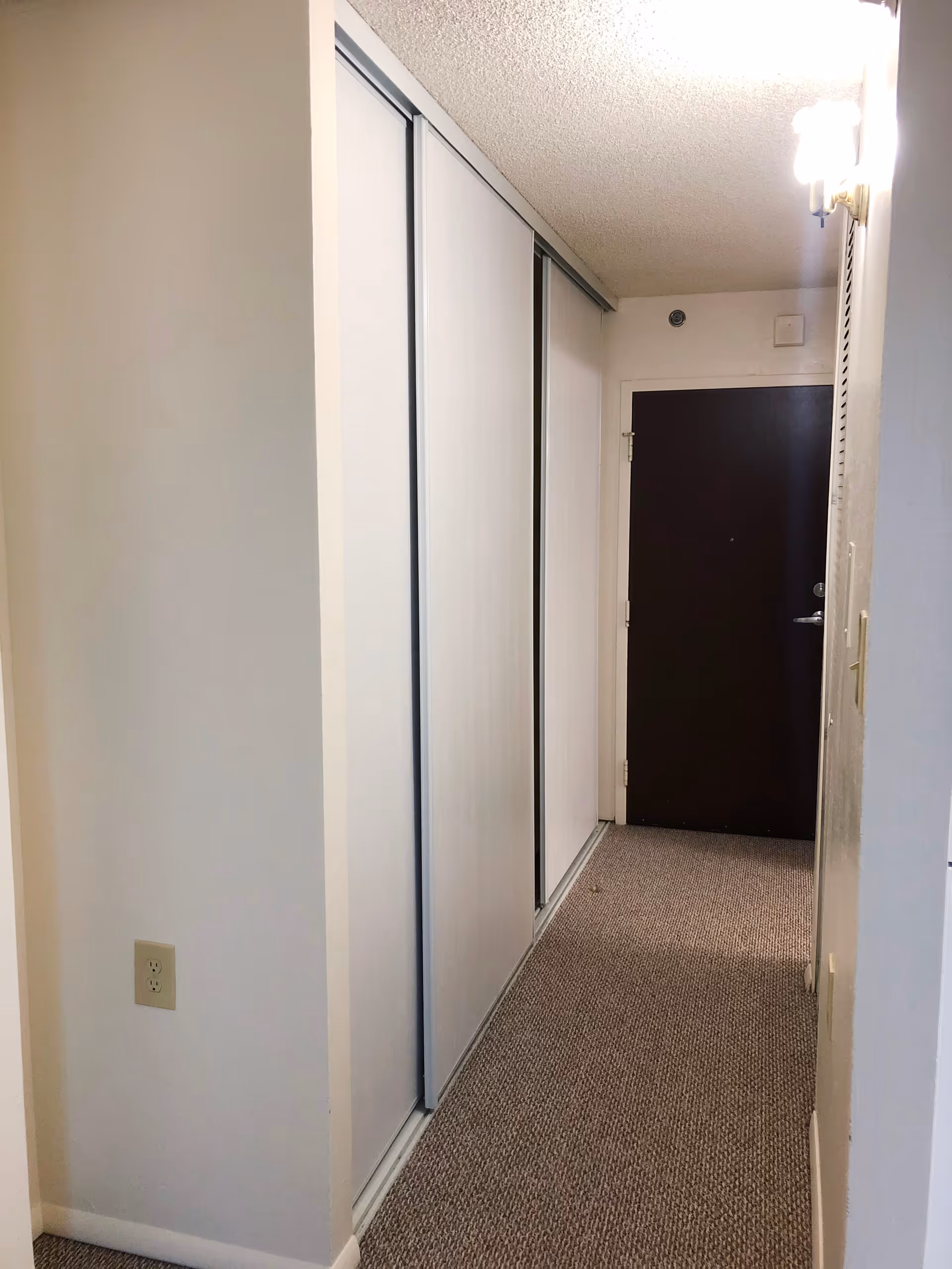 A narrow hallway with beige carpet and white walls. On the left side, there are sliding closet doors, and at the end of the hallway is a dark brown door. A wall-mounted light fixture is visible on the right side near the ceiling.