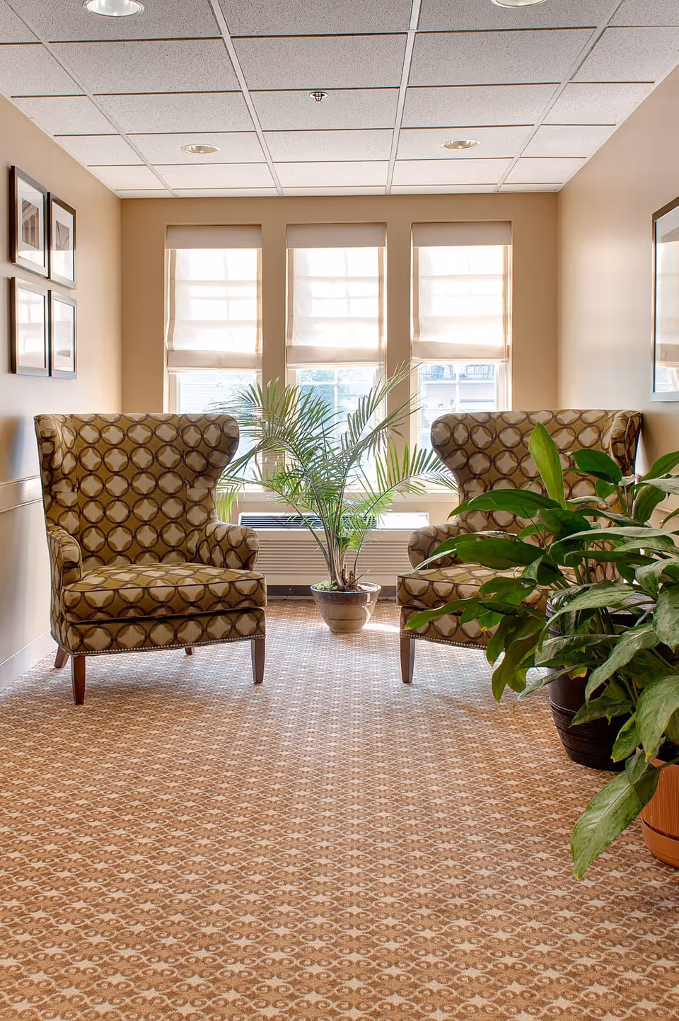 A cozy seating area with two patterned armchairs facing each other, positioned near three large windows with white blinds. There are two potted plants, one between the chairs and one to the right side, and framed pictures on the left wall. The floor is carpeted with a patterned design, and the walls are painted beige.