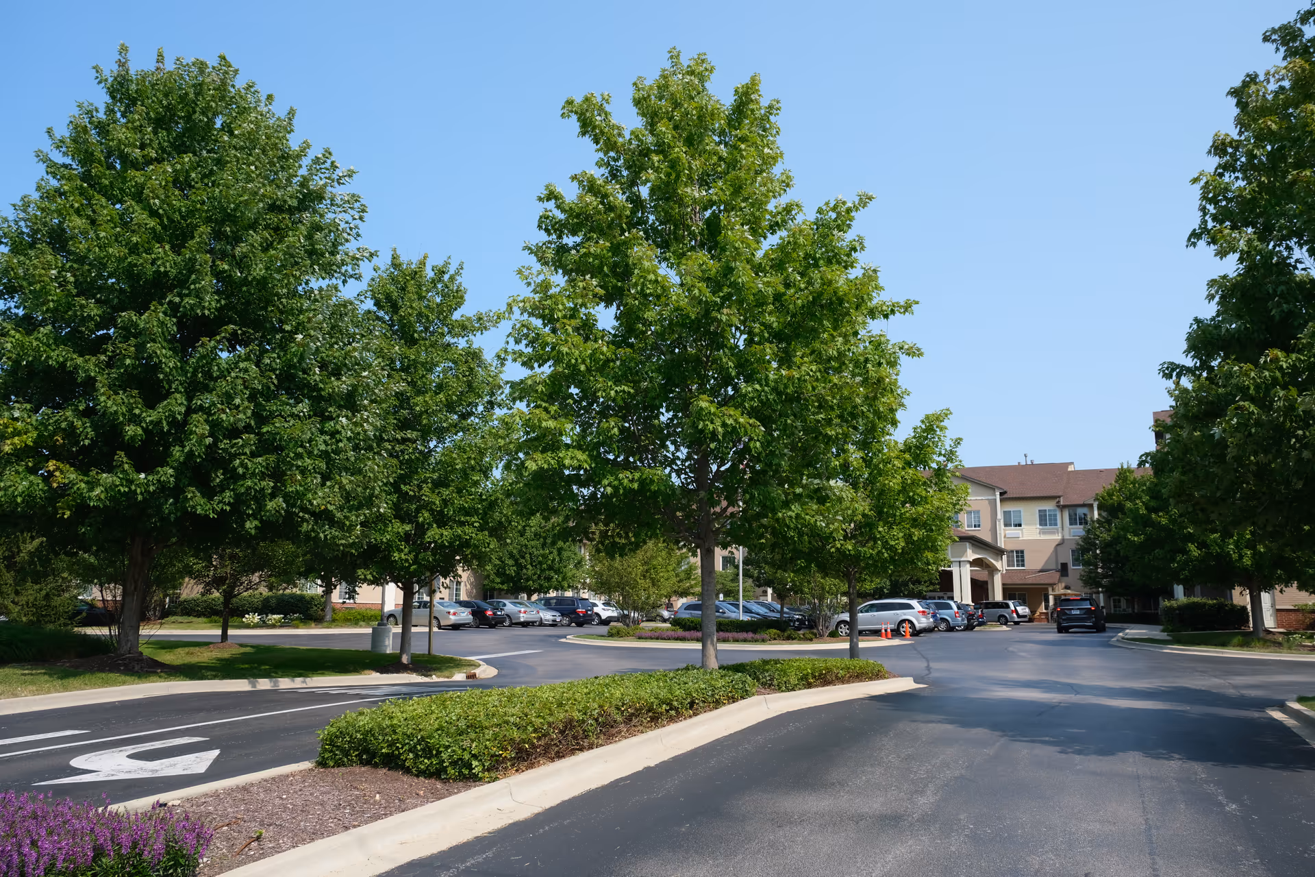 Driveway and parking lot bordered by trees leading to the front entrance of a multi-story senior living building.