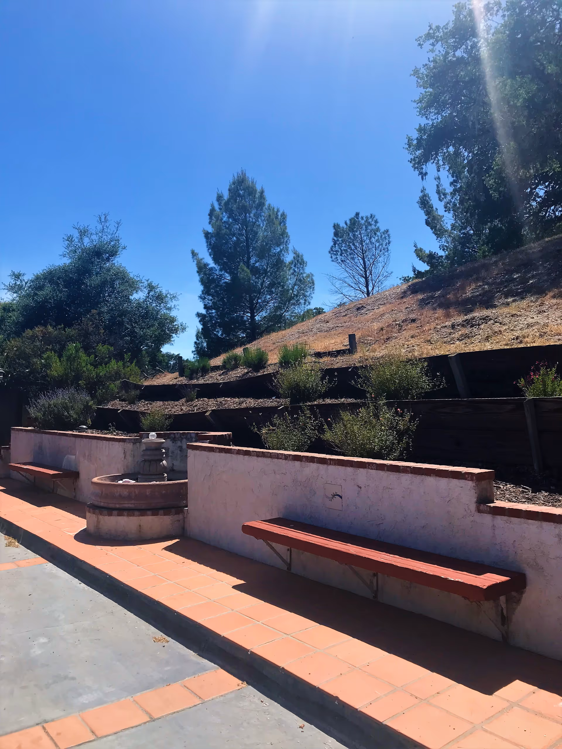 Outdoor seating area with red benches attached to a low white wall, a small round stone fountain, and a hillside with trees and shrubs under a clear blue sky.