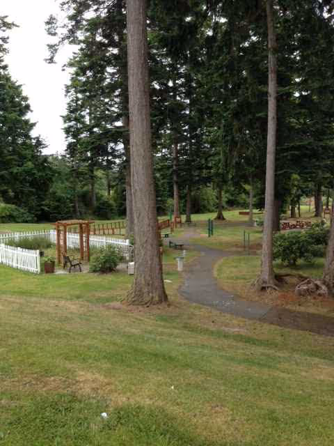 Path winds through a grassy courtyard with tall trees and white fencing.
