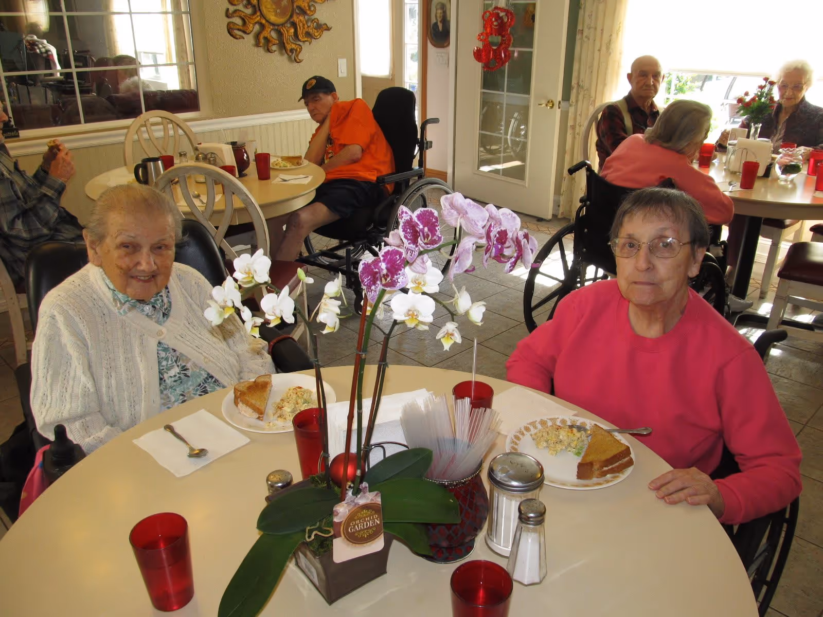 Several elderly individuals seated at round tables in a dining area, eating meals that include sandwiches and salad. The room has large windows letting in natural light, and there is a decorative orchid centerpiece on the table in the foreground. Some individuals are in wheelchairs, and the atmosphere appears calm and communal.