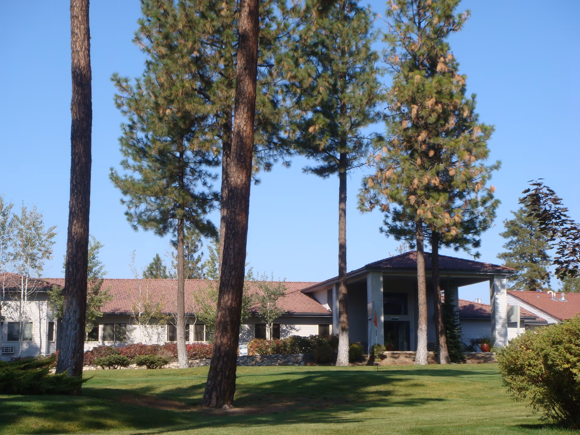Exterior view of a single-story building with a red-tiled roof partially obscured by tall pine trees and surrounded by green grass and shrubs under a clear blue sky.