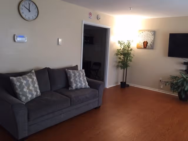 A living room with a dark gray couch featuring two patterned pillows, a wall clock showing 11:55, a thermostat, a doorway leading to another room, a tall potted plant, a wall-mounted flat screen TV, and a wooden floor.