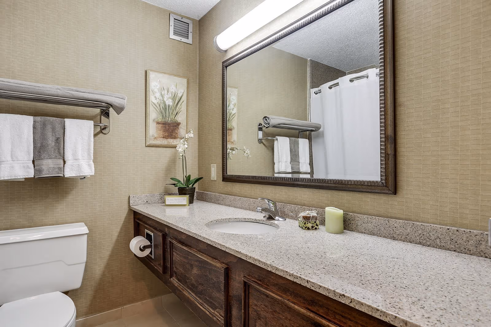 A clean and well-lit bathroom featuring a white toilet, a granite countertop with a built-in sink, a large framed mirror above the sink, and a towel rack holding folded towels. There is a small potted plant and a candle on the countertop, and a framed floral artwork on the wall.