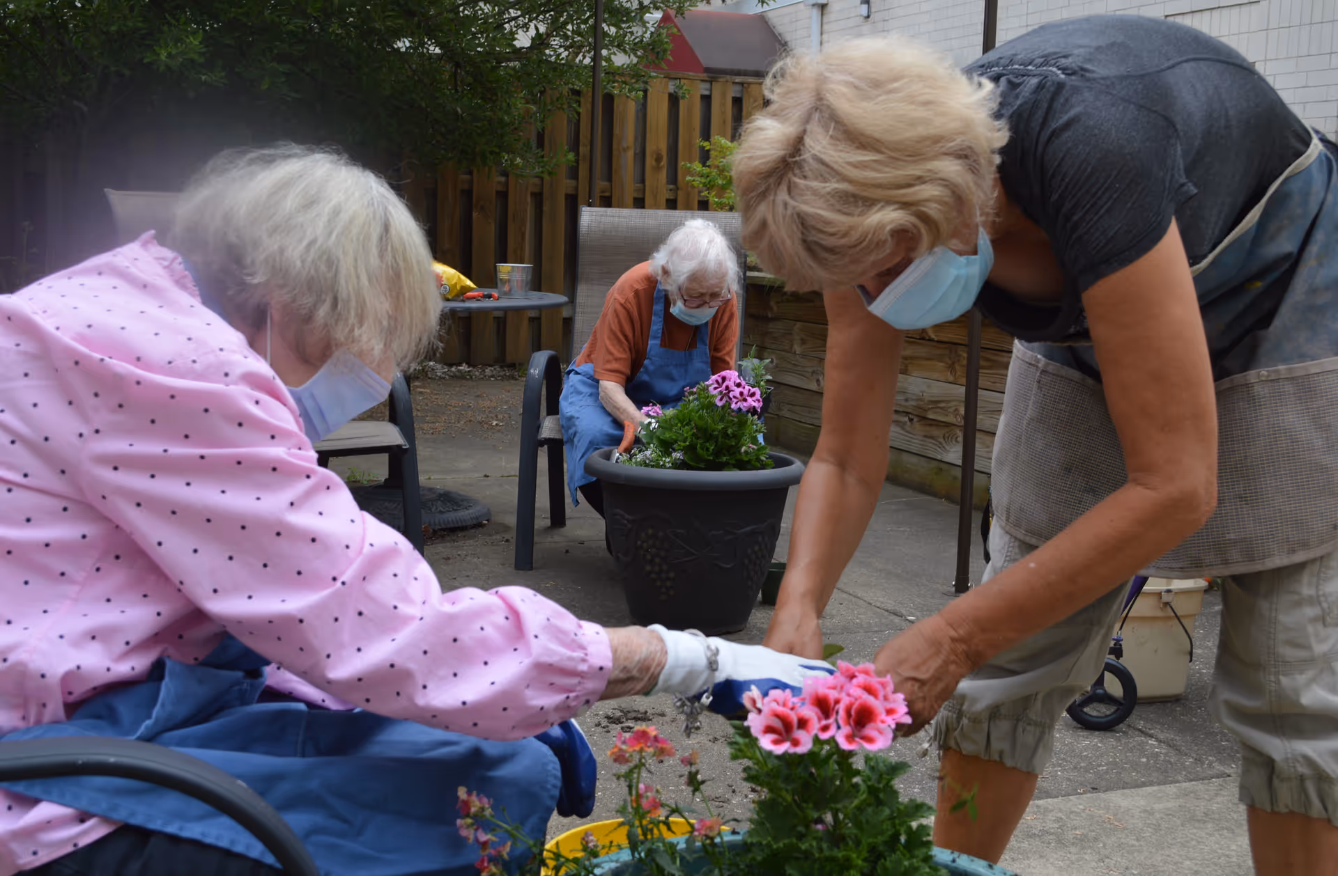 Three elderly women wearing face masks and aprons are gardening outdoors. Two women are seated and tending to flowers in pots, while the third woman is bending over to help with the plants. They are surrounded by garden furniture and a wooden fence.