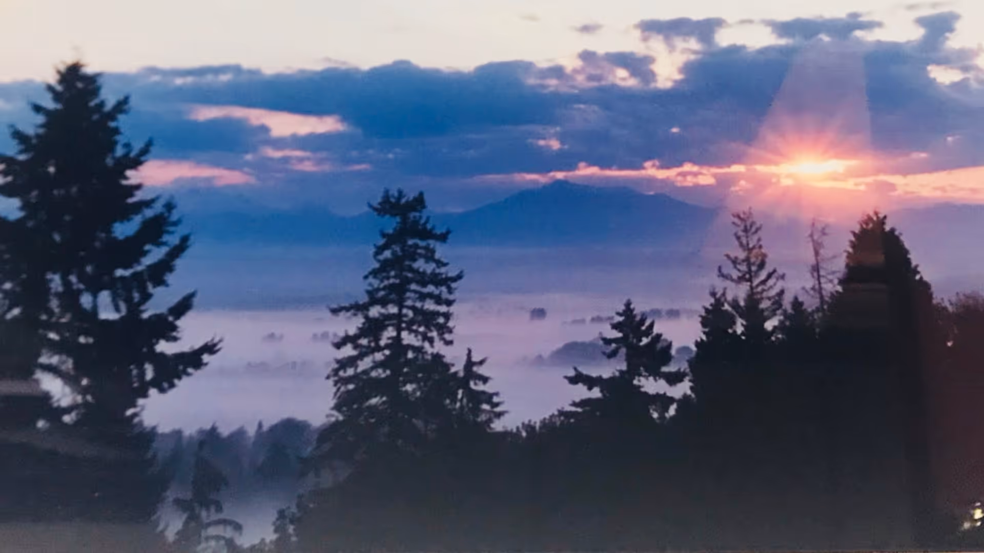 Foggy forested landscape at sunrise with silhouetted evergreen trees and distant mountains.
