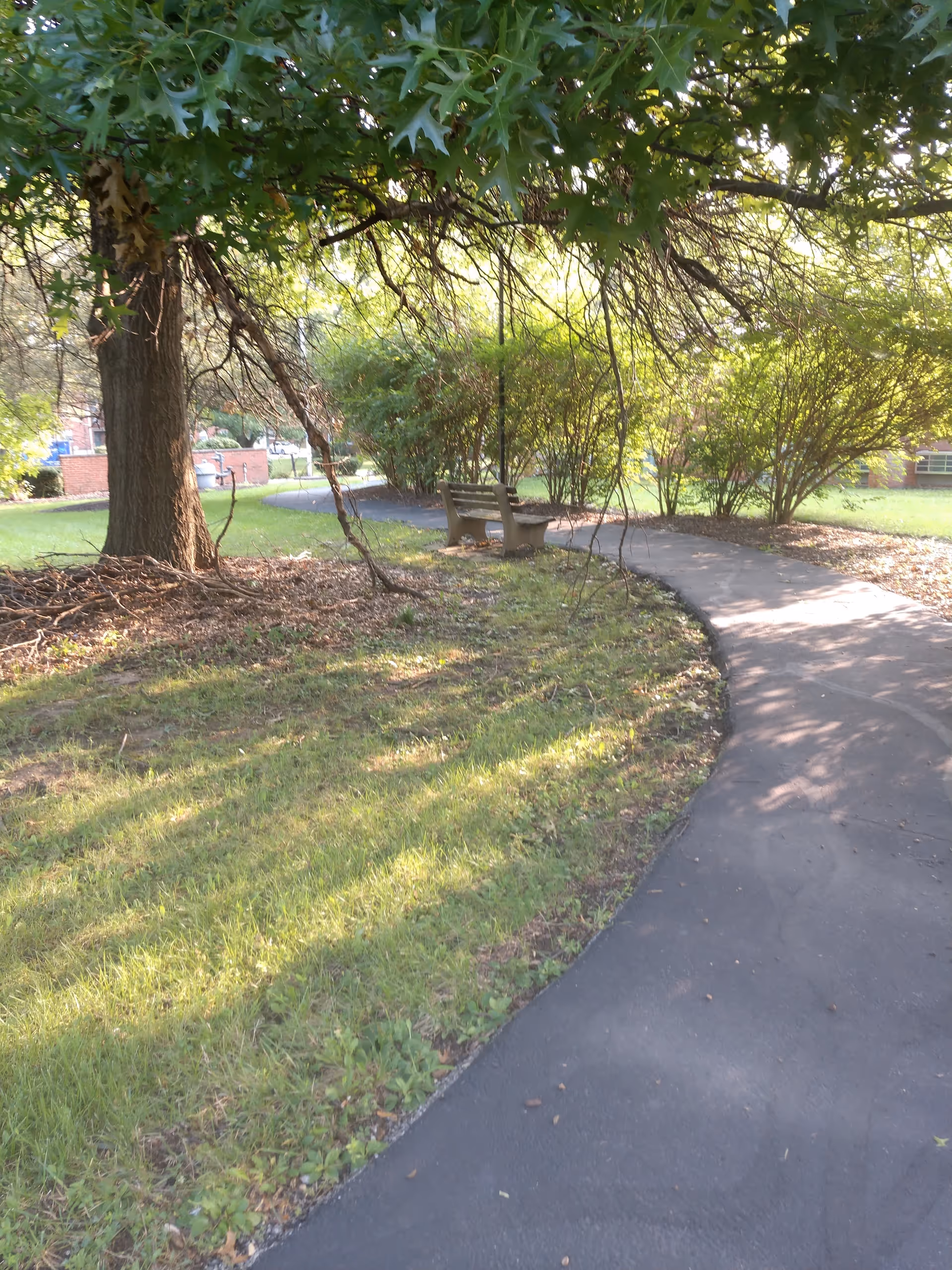 A paved winding pathway in a garden area with green grass, trees, and bushes. There is a wooden bench along the path under the shade of a large tree. Sunlight filters through the leaves, creating a peaceful outdoor setting.