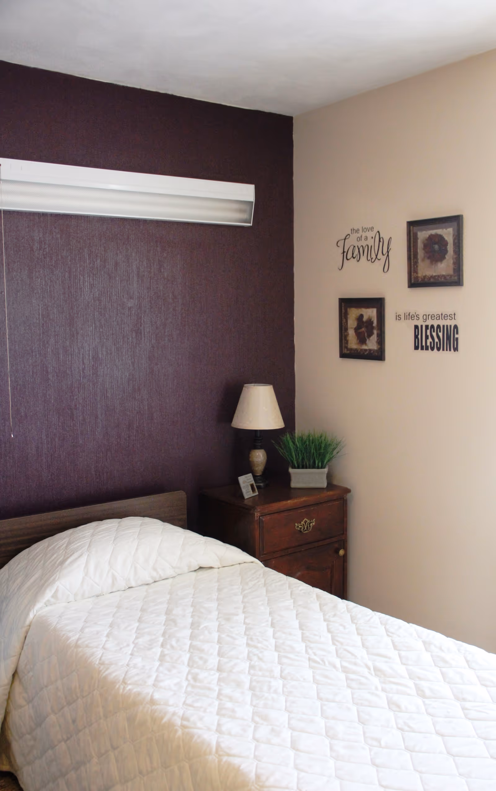 A small bedroom with a single bed covered in a white quilt, a wooden nightstand with a lamp and potted plant, and framed wall decor.