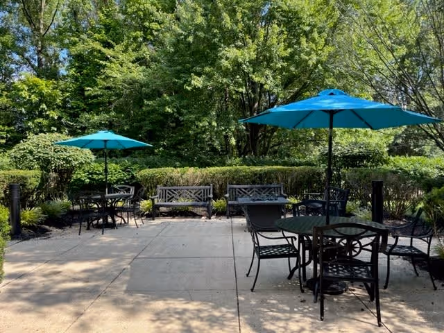 Outdoor patio area with several black metal tables and chairs, each table shaded by a blue umbrella. The patio is surrounded by green bushes and tall trees under a clear sky.