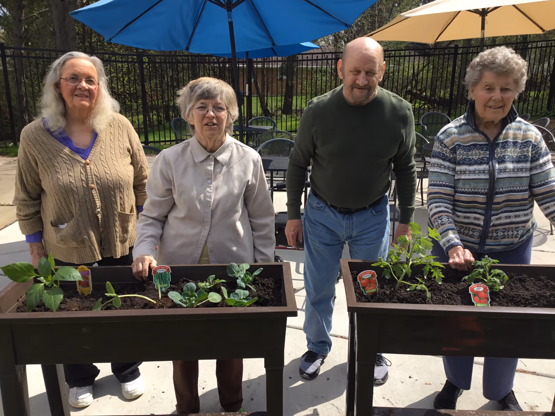 Four elderly individuals standing outdoors behind two raised garden beds with small plants growing in them. There are patio tables and chairs with umbrellas in the background, and a black metal fence enclosing the area.