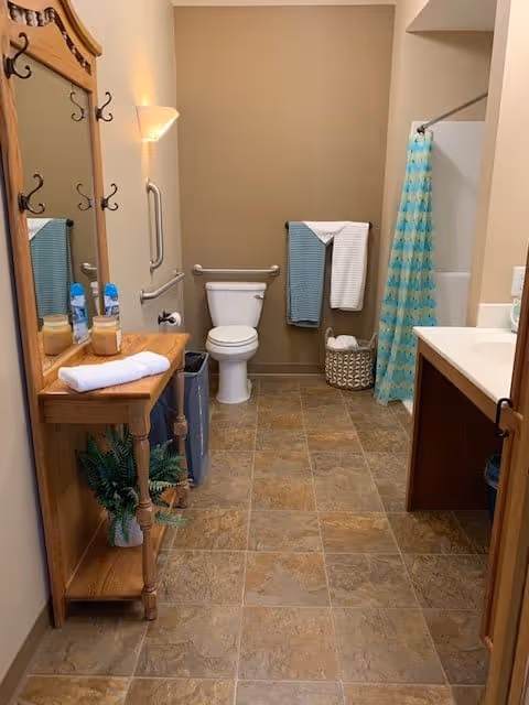 A clean and well-lit bathroom with a toilet, a wooden vanity with a mirror and hooks, a sink with countertop, a shower with a blue and green patterned curtain, and towels hanging on a rack. The floor is tiled and there is a small plant on the wooden vanity.