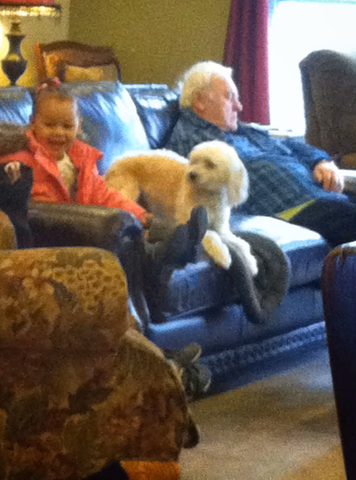 An elderly man and a young child sitting on a blue leather couch in a living room. A small white dog is lying on the man's legs. The room has a patterned armchair in the foreground, a lamp, and a window with red curtains in the background.