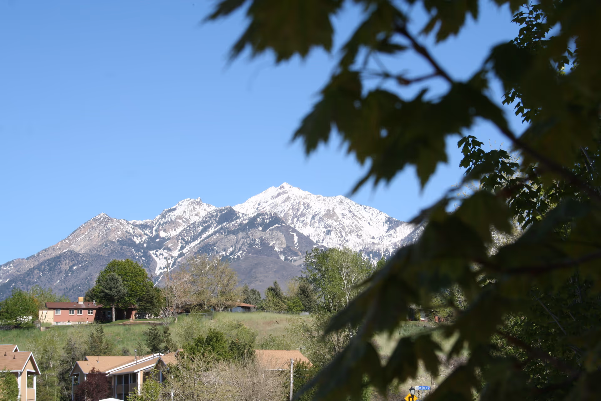 Snow-capped mountains loom over green trees and suburban houses in the foreground.