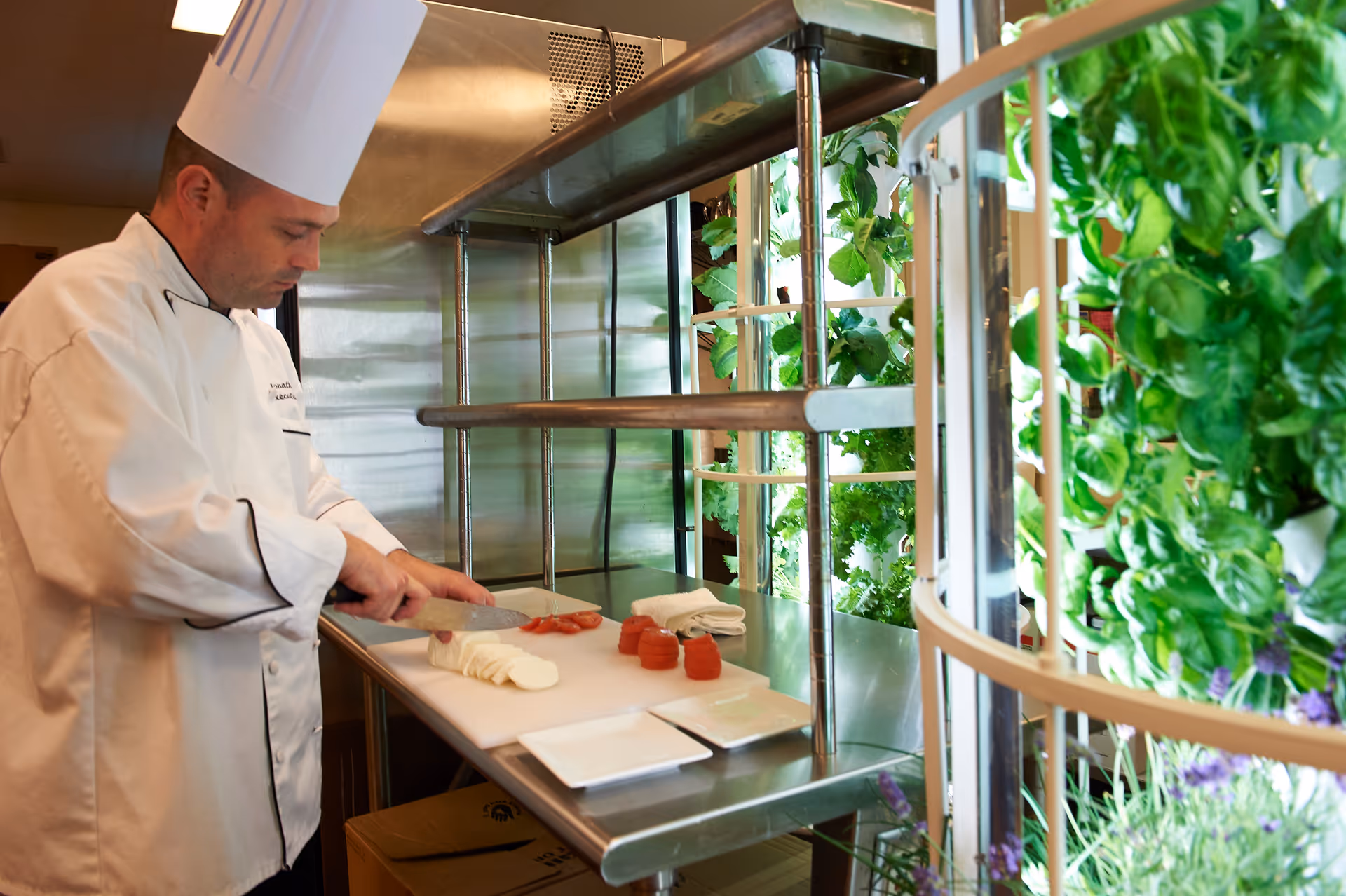A chef in a white uniform and tall hat chops tomatoes on a cutting board in a commercial kitchen beside a vertical wall of green plants.