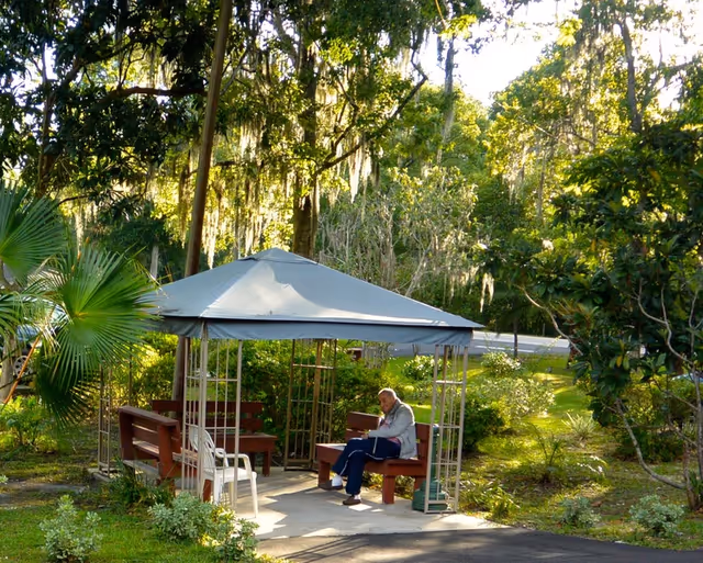 An elderly man sitting on a wooden bench under a gray canopy gazebo in a lush green garden area with various trees and plants surrounding the space.