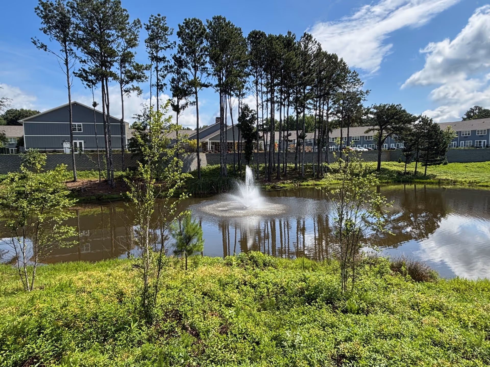 A serene outdoor scene at Manor Lake Assisted Living, featuring a small pond with a water fountain in the center, surrounded by green grass and young trees. Behind the pond, there are tall pine trees and residential buildings under a partly cloudy blue sky.