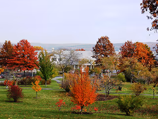 Autumn landscape of landscaped lawns and colorful trees with a building and lake in the background.