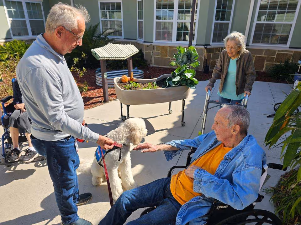An elderly man in a wheelchair reaching out to pet a white service dog held on a leash by a man standing nearby. Another elderly woman with a walker is standing behind the man in the wheelchair. They are outside on a sunny patio area with plants and a raised garden bed in the background.