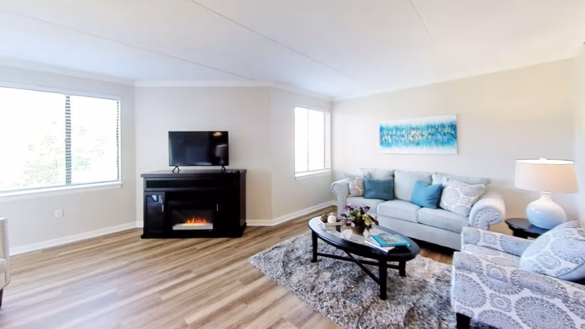Bright living room with a sofa, patterned armchair, coffee table on a rug, and a TV above a fireplace console near large windows.