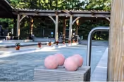Outdoor bocce ball court with three pink bocce balls resting on a wooden bench. The court is surrounded by a wooden pergola and greenery in the background.