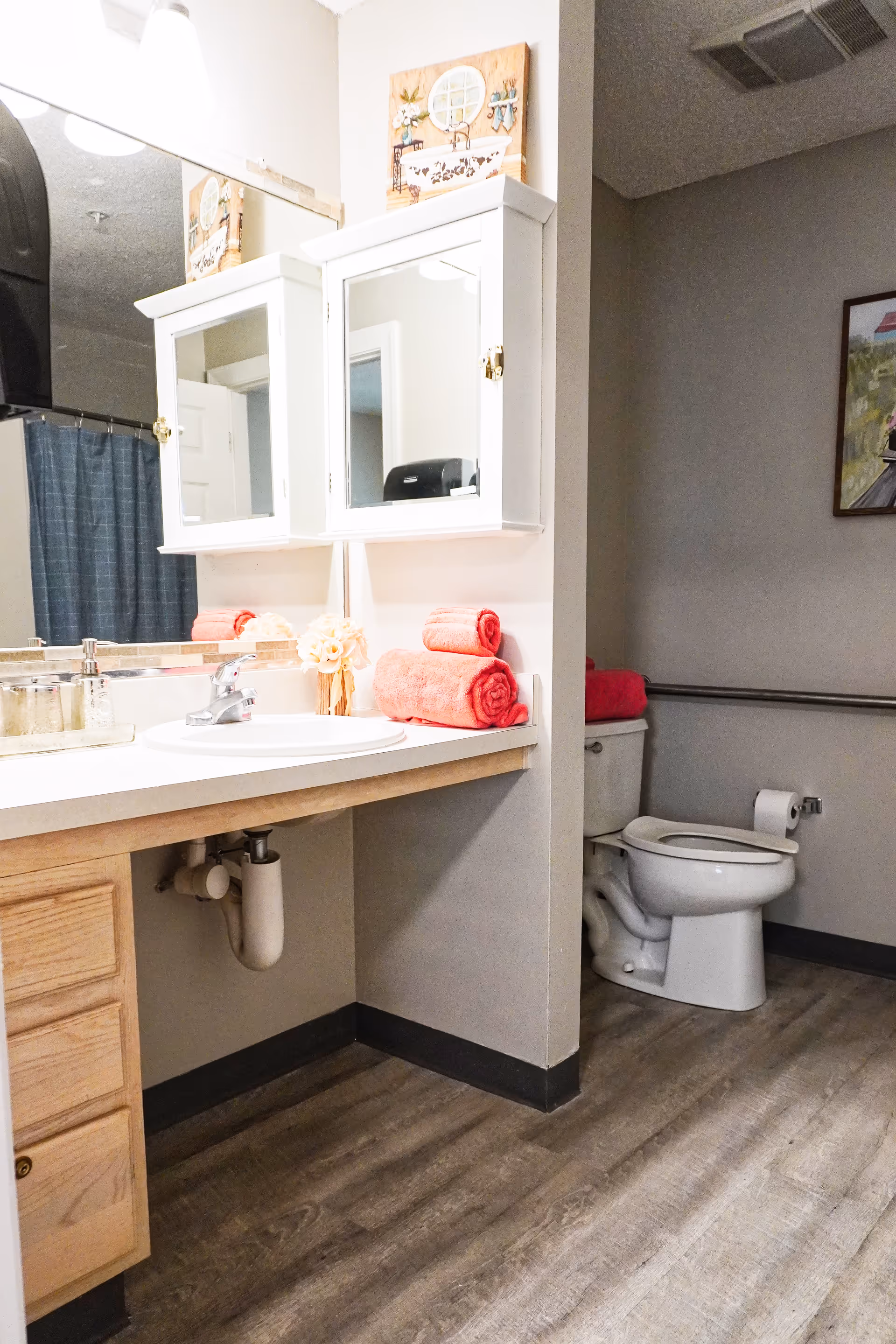 Bathroom interior showing a sink with a mirrored medicine cabinet, rolled coral towels on the counter, and a toilet with a grab bar.