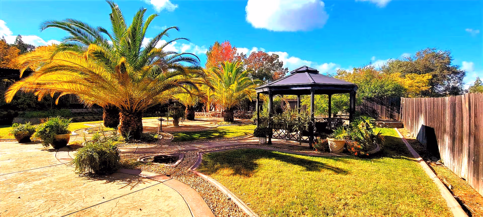 Sunny landscaped outdoor courtyard with palm trees, paved walkways, and a gazebo.