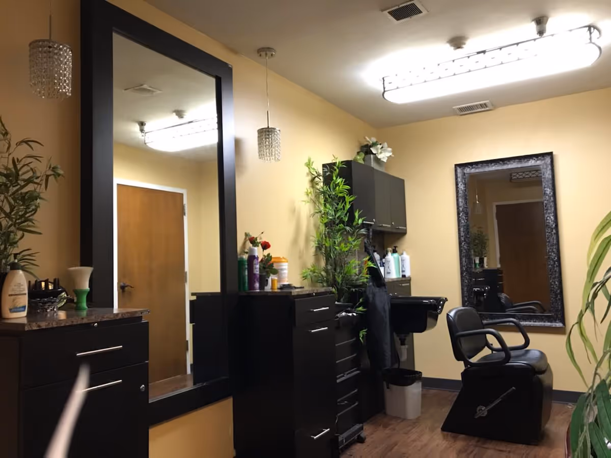 A salon-style interior with black styling chairs and stations, large mirrors, cabinets, and potted plants.