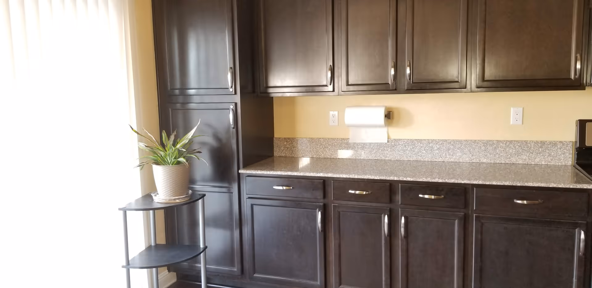 A kitchen area with dark wooden cabinets and drawers, a granite countertop, and a paper towel holder mounted on the wall. To the left, there is a small black three-tiered shelf with a potted plant on top. Light is coming in from a window covered with sheer curtains.