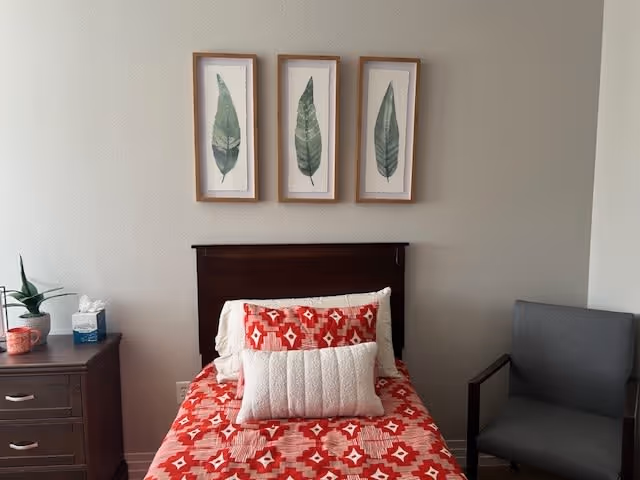 A neatly made single bed with a red and white patterned bedspread and two pillows, one white and one matching the bedspread. Above the bed are three framed pictures of green leaves. To the left of the bed is a wooden nightstand with a potted plant, a tissue box, and a small red container. To the right of the bed is a gray upholstered armchair with wooden armrests. The walls are light-colored and the room has a calm, cozy atmosphere.