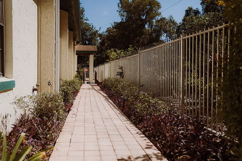 Paved side walkway bordered by low plants between a light-colored building and a metal fence leading to a doorway.