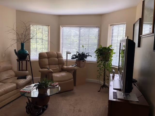 Sunlit living room with beige leather recliner and sofa, glass coffee table, TV on a stand, and several potted plants by bay windows.