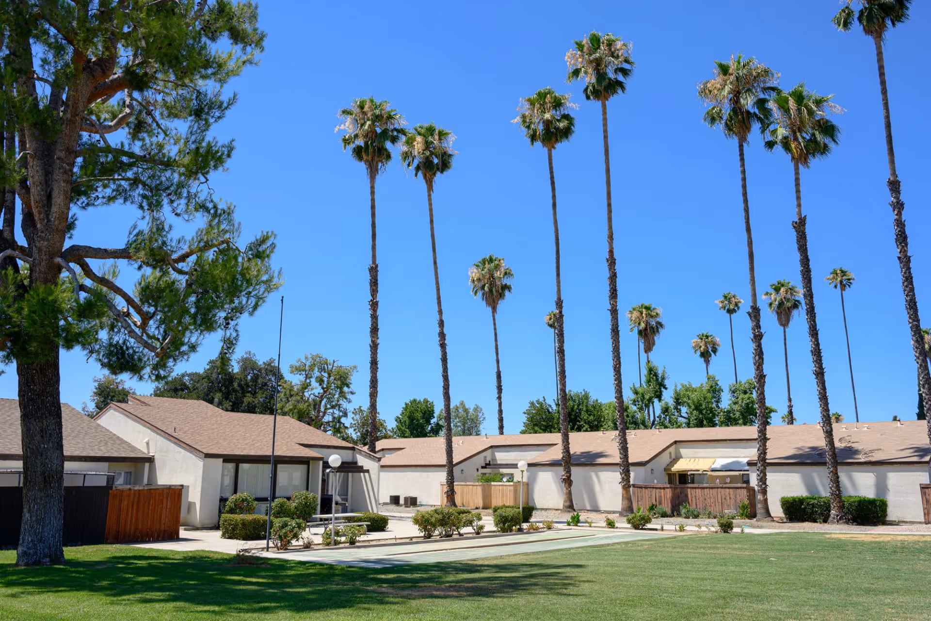 Single-story residential buildings with beige walls and brown roofs surrounded by tall palm trees and green grass under a clear blue sky.