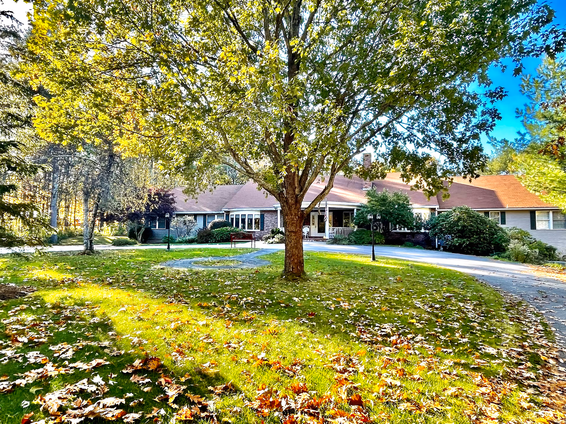 A single-story building with a red roof surrounded by green trees and a lawn with fallen autumn leaves. A large tree stands prominently in the center of a circular driveway leading to the building entrance.
