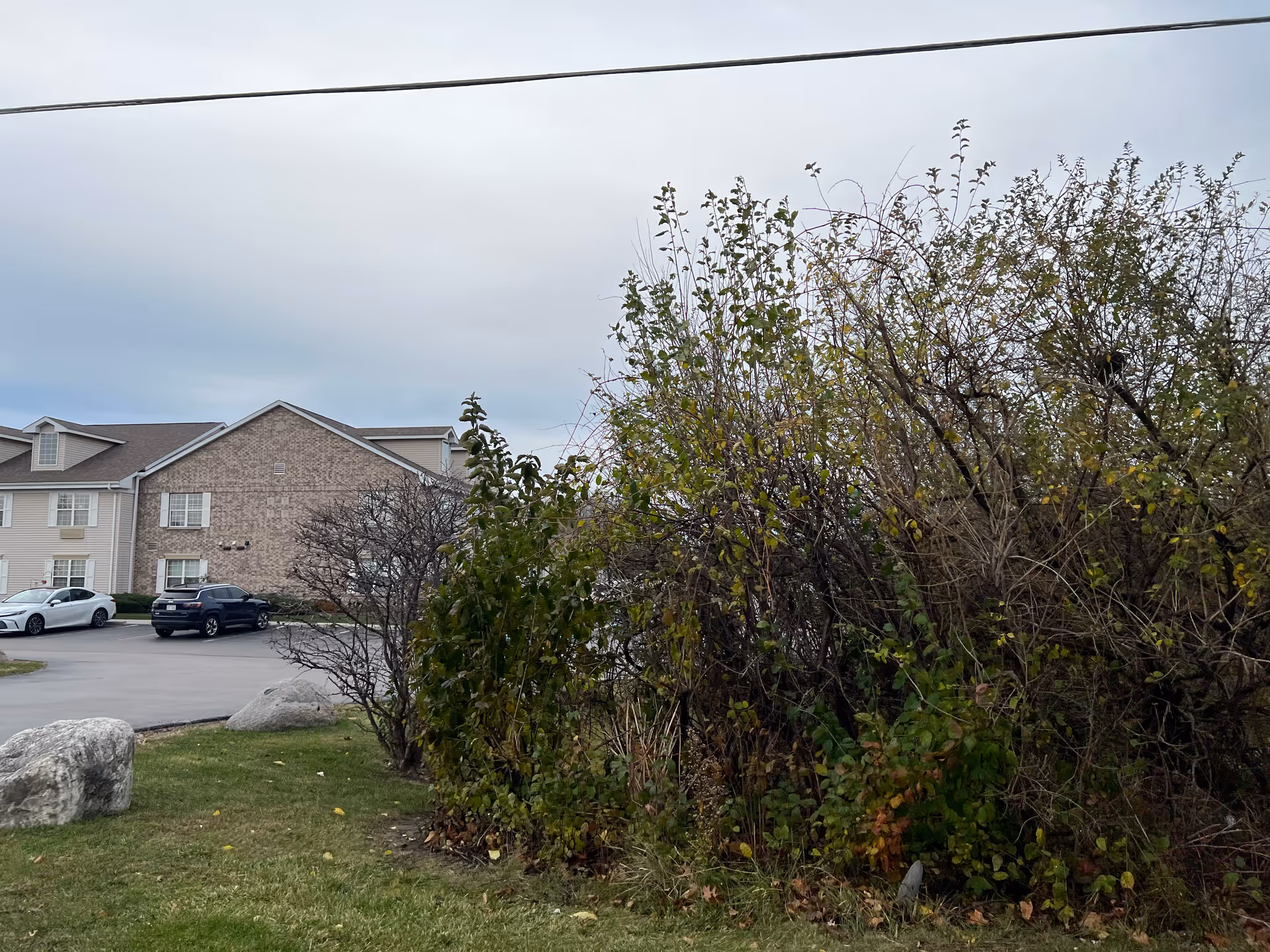 Outdoor view of a senior living facility named Brookdale Brookfield showing a parking area with two cars, a building with brick and siding exterior, some large rocks on grass, and a dense bush with green and brown leaves under a cloudy sky.