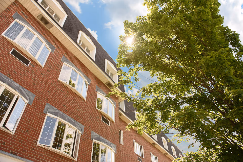 Upward view of a multi-story brick building with multiple windows and a large leafy tree on the right side under a partly cloudy sky with the sun shining through the tree branches.