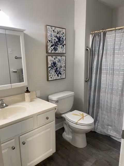 A clean bathroom featuring a white vanity with a sink and a soap dispenser, a toilet with a decorative ribbon on the seat, a shower with a gray patterned curtain, and two framed floral artworks on the wall above the toilet.