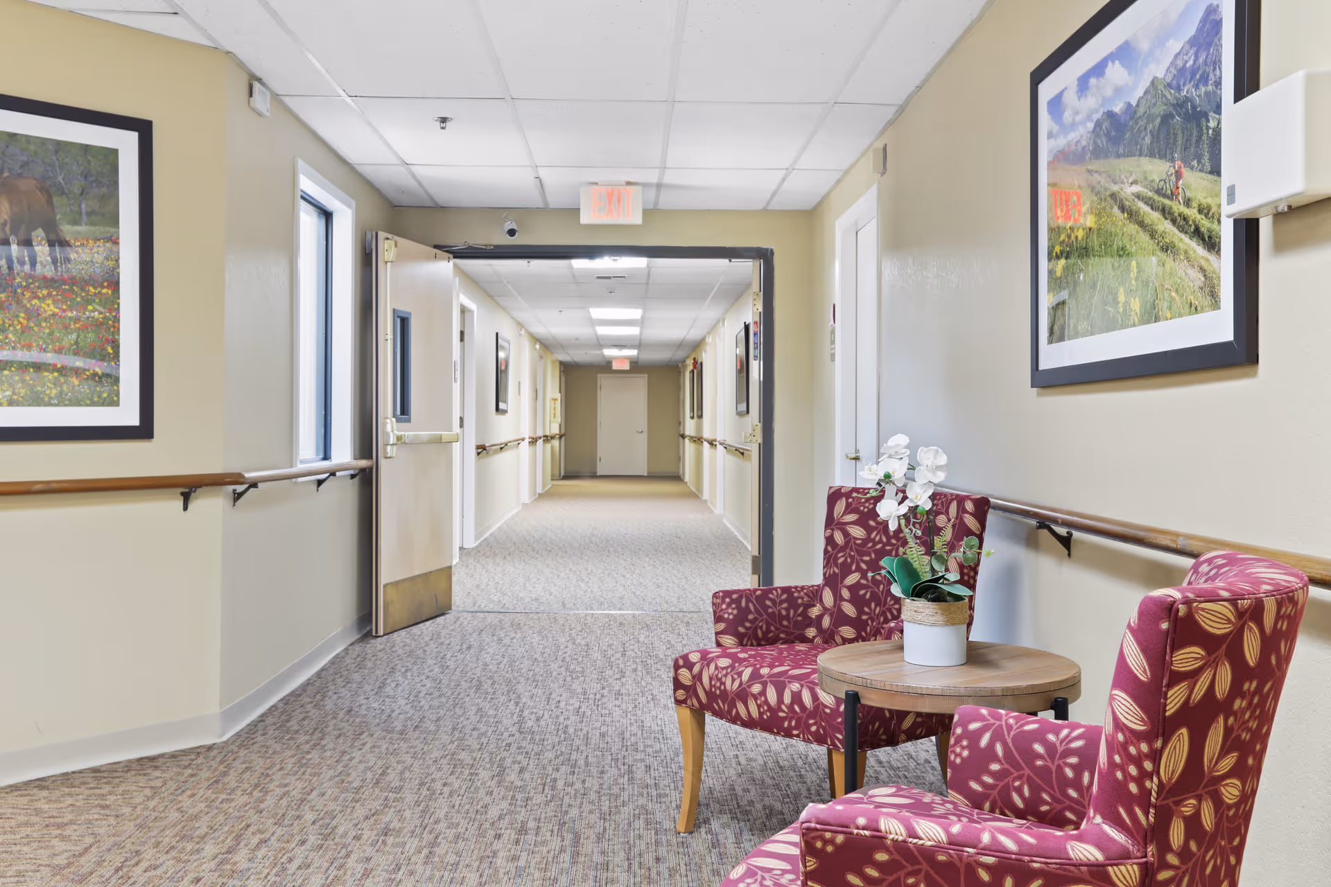 Carpeted assisted living hallway with two patterned chairs and a small table with a potted plant near an open door.