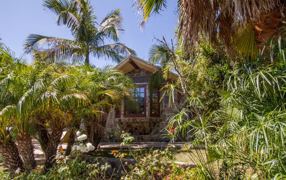 Stone building partially obscured by lush tropical plants and palm trees under a clear blue sky.