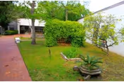Small outdoor courtyard with a brick walkway, grassy planting beds, shrubs, and a bench beside white buildings.