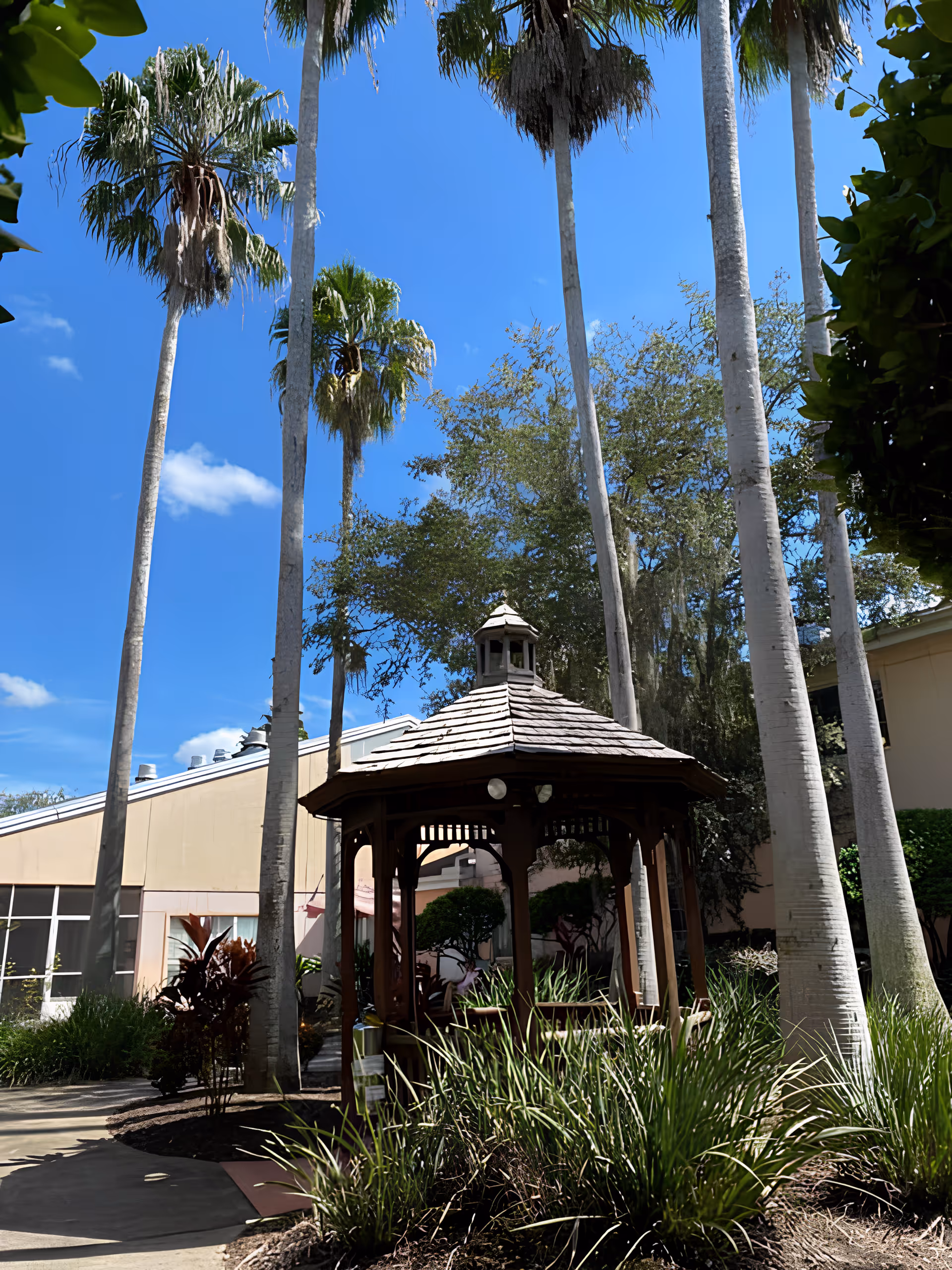 Wooden gazebo surrounded by tall palm trees and landscaping under a clear blue sky in a courtyard.