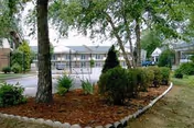 Outdoor view of a senior living facility with a landscaped garden area featuring trees, shrubs, and a mulched bed bordered by stone edging. In the background, there is a two-story building with balconies and a gated entrance.