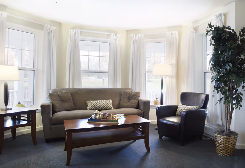 A bright living room with a gray sofa and a dark leather armchair, both adorned with patterned cushions. A wooden coffee table with a tray of decorative items sits in front of the sofa. The room has large windows with white curtains, two floor lamps, and a tall potted plant in a woven basket in the corner.
