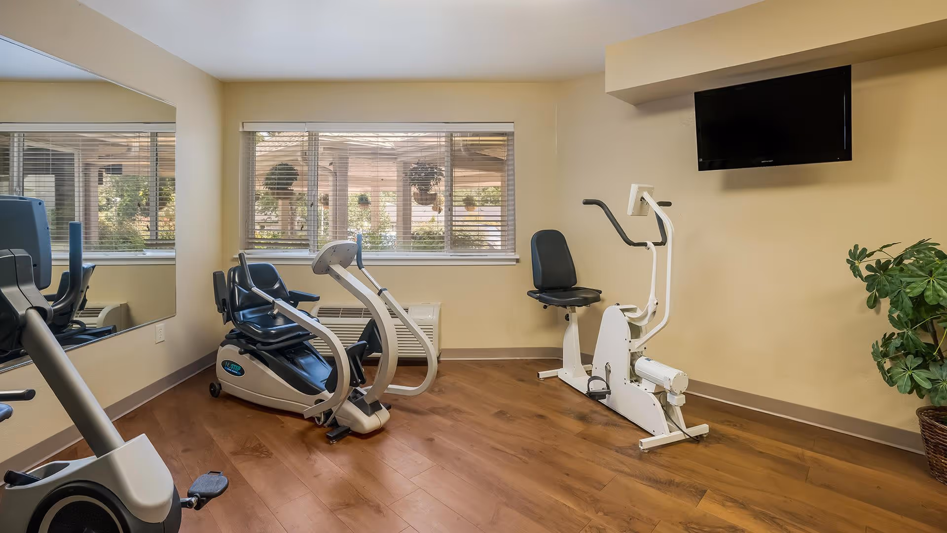 A small exercise room with two stationary exercise bikes, a wall-mounted flat screen TV, a large mirror on one wall, a window with blinds showing hanging plants outside, and a potted plant in the corner.
