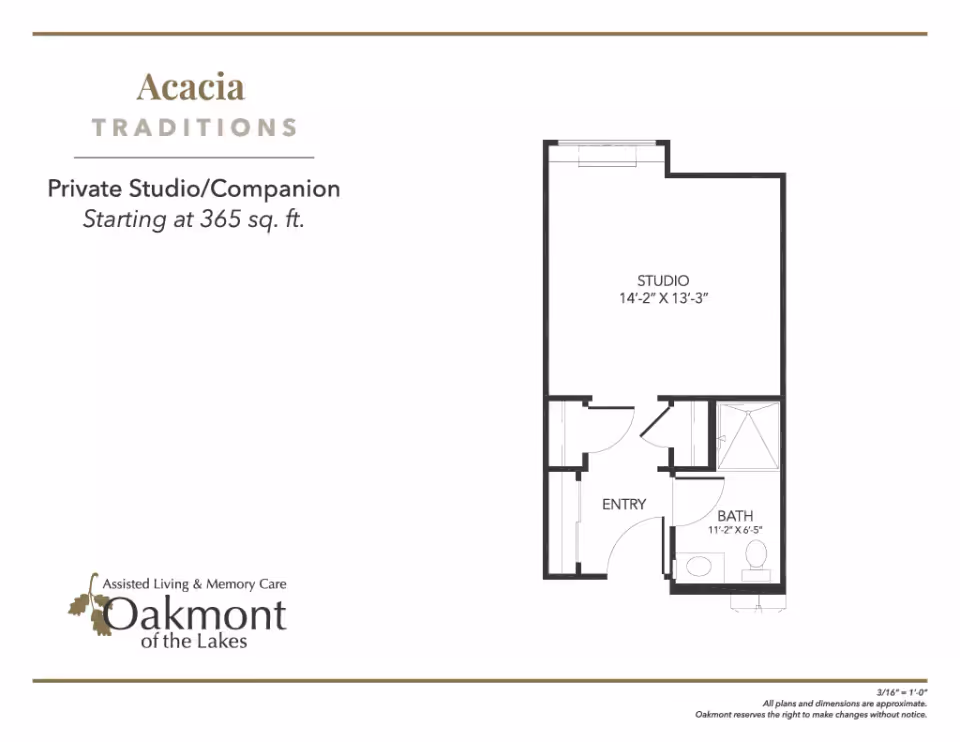 Floor plan layout for a private studio/companion unit named Acacia Traditions at Oakmont of the Lakes, showing a studio room measuring 14 feet 2 inches by 13 feet 3 inches, an entry area, and a bathroom measuring 11 feet 2 inches by 6 feet 5 inches.