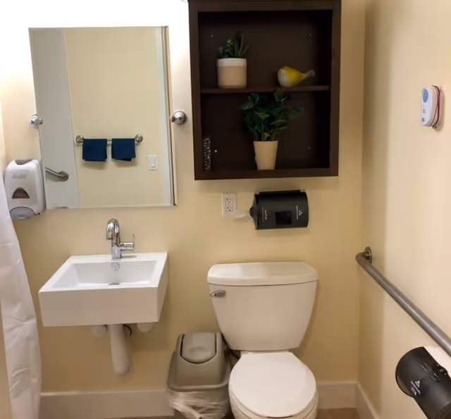 A small bathroom with a white toilet and a wall-mounted white sink. Above the sink is a rectangular mirror and to the left is a soap dispenser. On the wall above the toilet is a dark wooden shelf holding two potted plants and a decorative yellow bird. There is a trash can next to the toilet and a toilet paper dispenser mounted on the wall to the right. A grab bar is installed on the right wall for support.