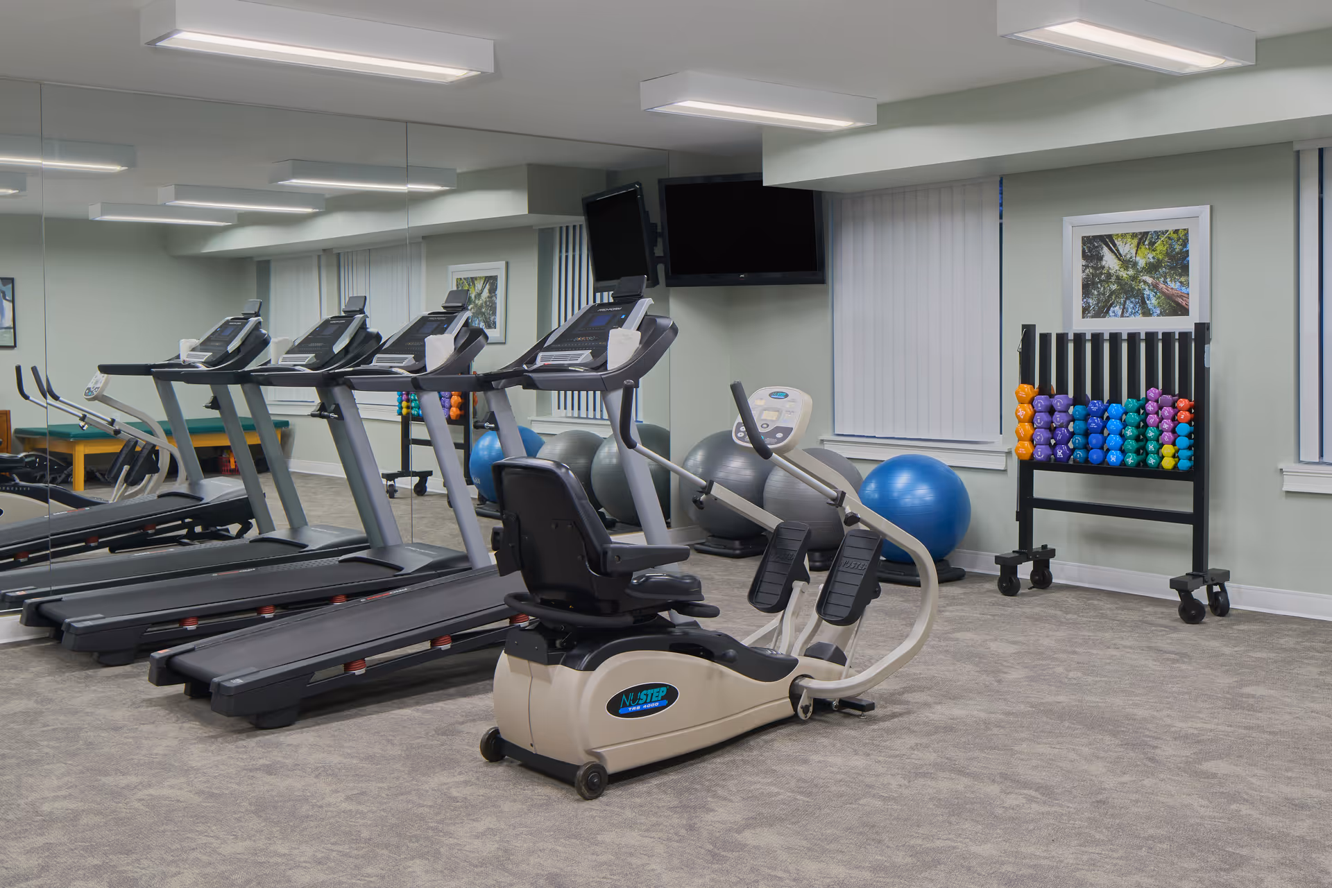A senior living facility fitness room with three treadmills, a recumbent elliptical machine, exercise balls, and a rack of colorful dumbbells. The room has large mirrors on one wall, two wall-mounted televisions, and framed nature artwork on the walls.