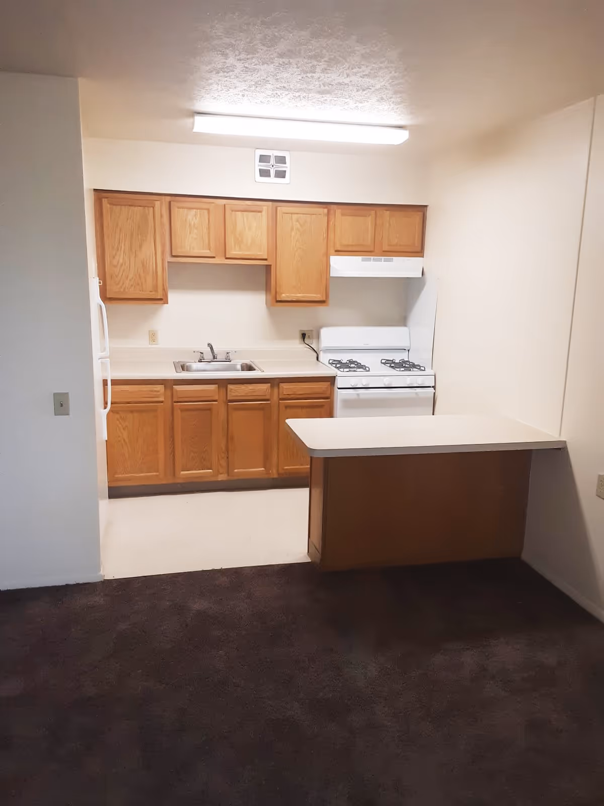 Interior view of a small kitchen area with wooden cabinets, a white gas stove with an overhead vent, a double sink, and a countertop extending into the room. The kitchen floor is light-colored, and the adjacent room has dark carpet flooring. The walls and ceiling are painted white, with a fluorescent light fixture on the ceiling.