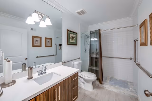 Bright accessible bathroom with a vanity and mirror, toilet, and a walk-in shower with grab bars and glass door.