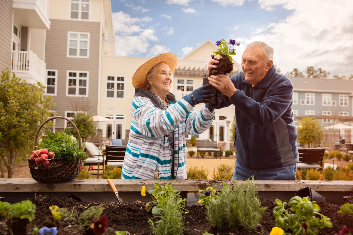 An elderly man and woman gardening together outdoors in a courtyard of a senior living facility. The woman is wearing a striped jacket and a straw hat, and the man is handing her a small flowering plant with soil. There is a basket of fresh vegetables on the garden bed in front of them, and residential buildings are visible in the background under a partly cloudy sky.